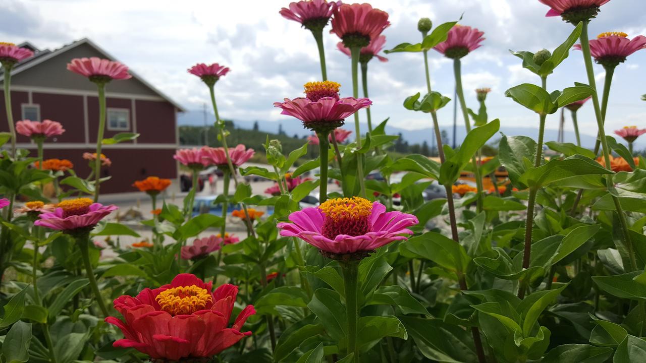 Hillcrest Farm Market B&B Kelowna Kültér fotó